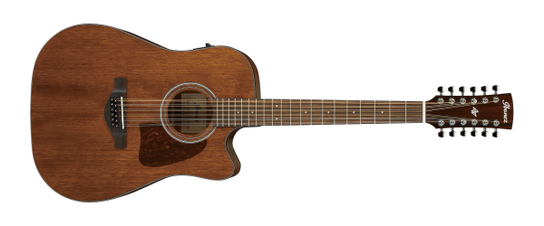 Ibanez AW5412CE - Open Pore Natural